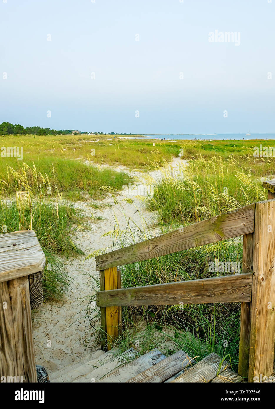 Schritte führen zu einem Wanderweg auf Pelican Halbinsel, 22. Juli 2014, in Dauphin Island, Alabama. Das neue Peninsula war vor ein paar Jahren gebildet. Stockfoto