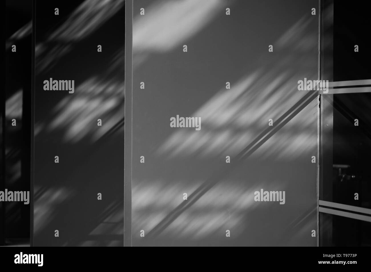 Abstrakte Szene. Beobachten, wie Schatten und Licht vom Pflanzendach an die Wand fließen. National Gallery Singapur. Schwarz-weiß-Stimmung Stockfoto