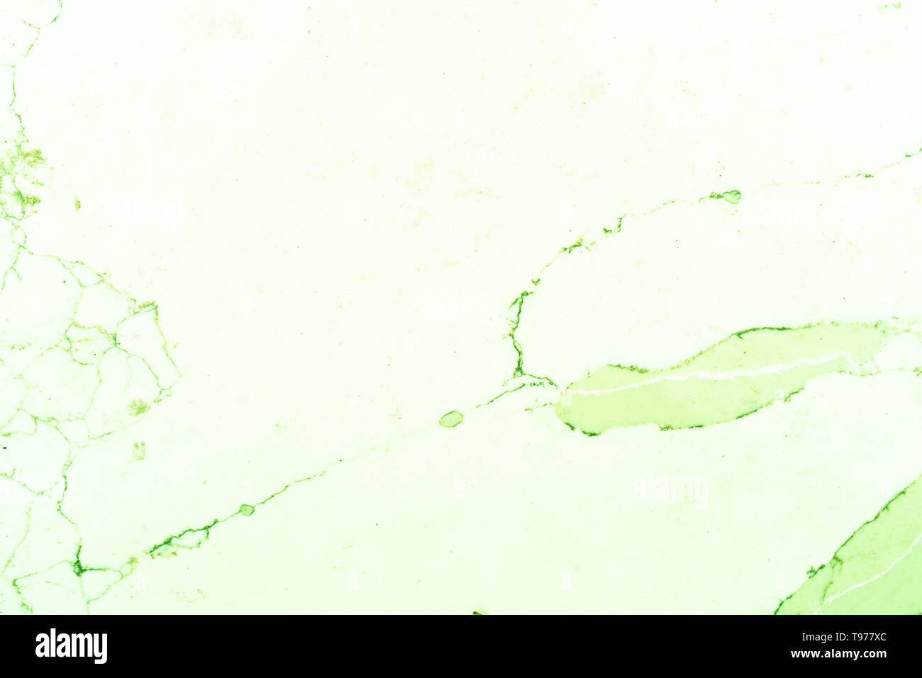 Helle grüne Marmor Muster, mit weißen Hintergrund mit grünen Adern, oder Körner, im Marmor Schiefer. Das ist ein Schnitt Marmor Schiefer verwendet als Arbeitsplatte. Stockfoto