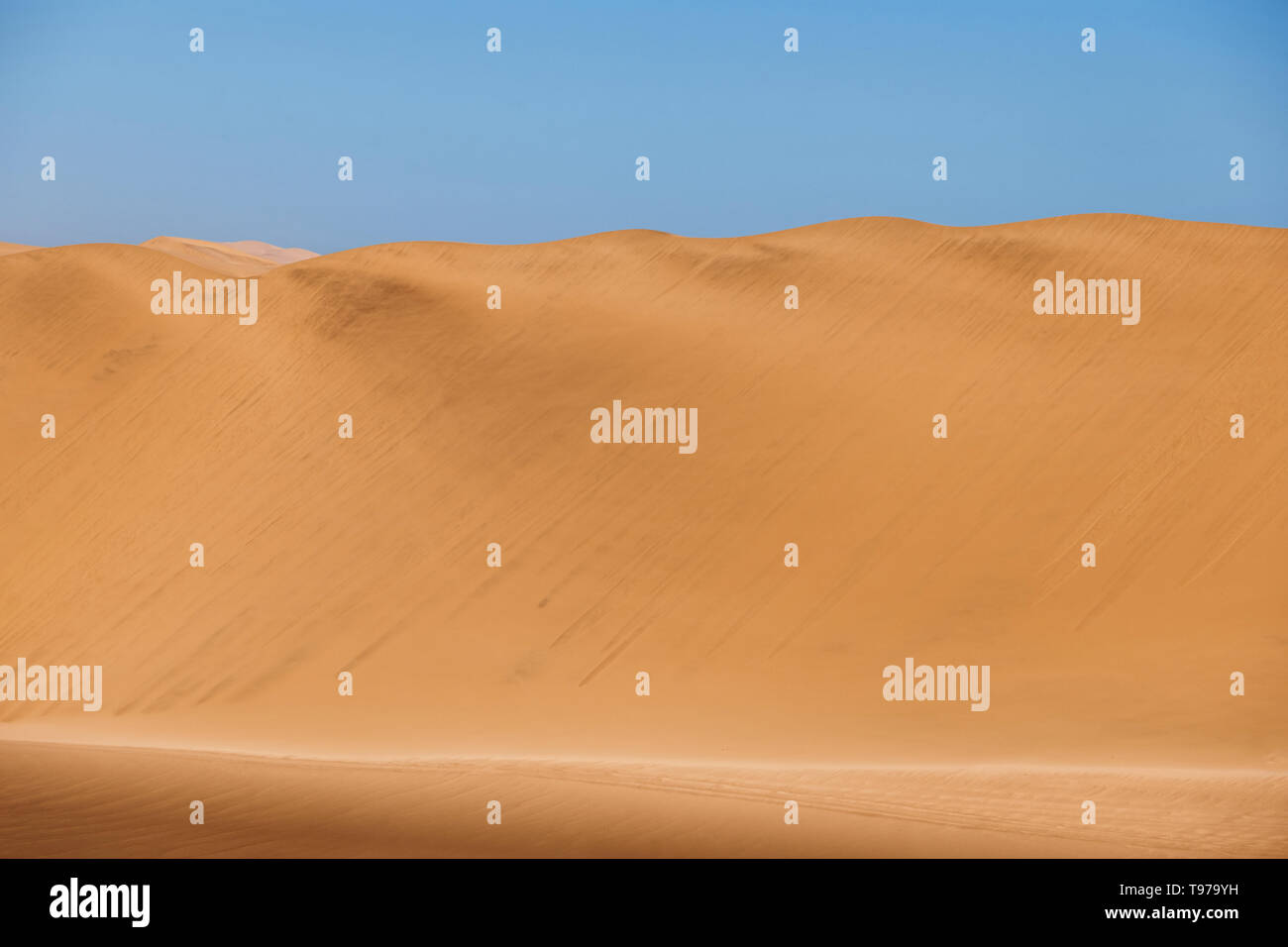 Sanddünen in Dorob Nationalpark in Namibia. Stockfoto