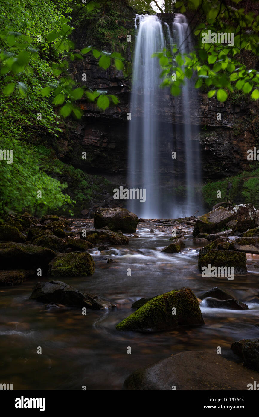 Die 90-Fuß-Sgwd Henrhyd Henrhyd fällt (der höchste in Wales) treten auf einer geologischen Störung auf dem Fluss Nant Llech. Stockfoto