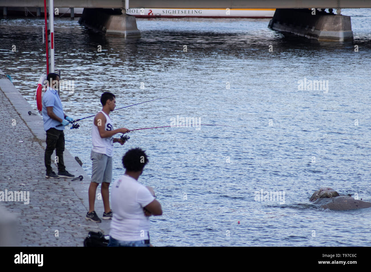 Angeln in Stockholm Stadt Stockfoto