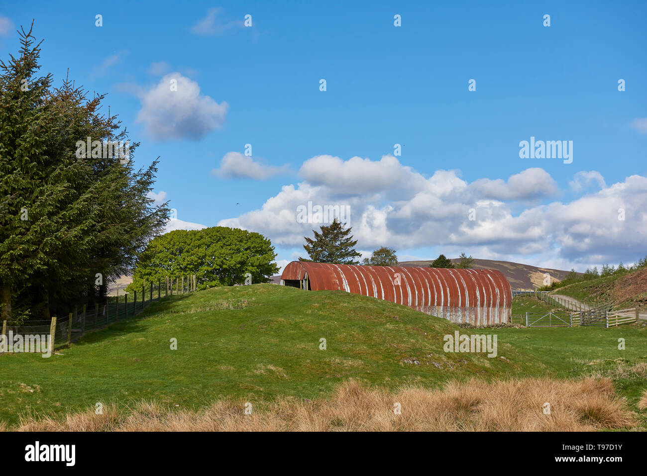 Ein Metall Nissan Hütte eingerichtete Scheune mit Wellpappe Zinn Seiten und einem Dach, das auf einem kleinen Hügel Bauernhof im Angus Glens von Schottland. Stockfoto