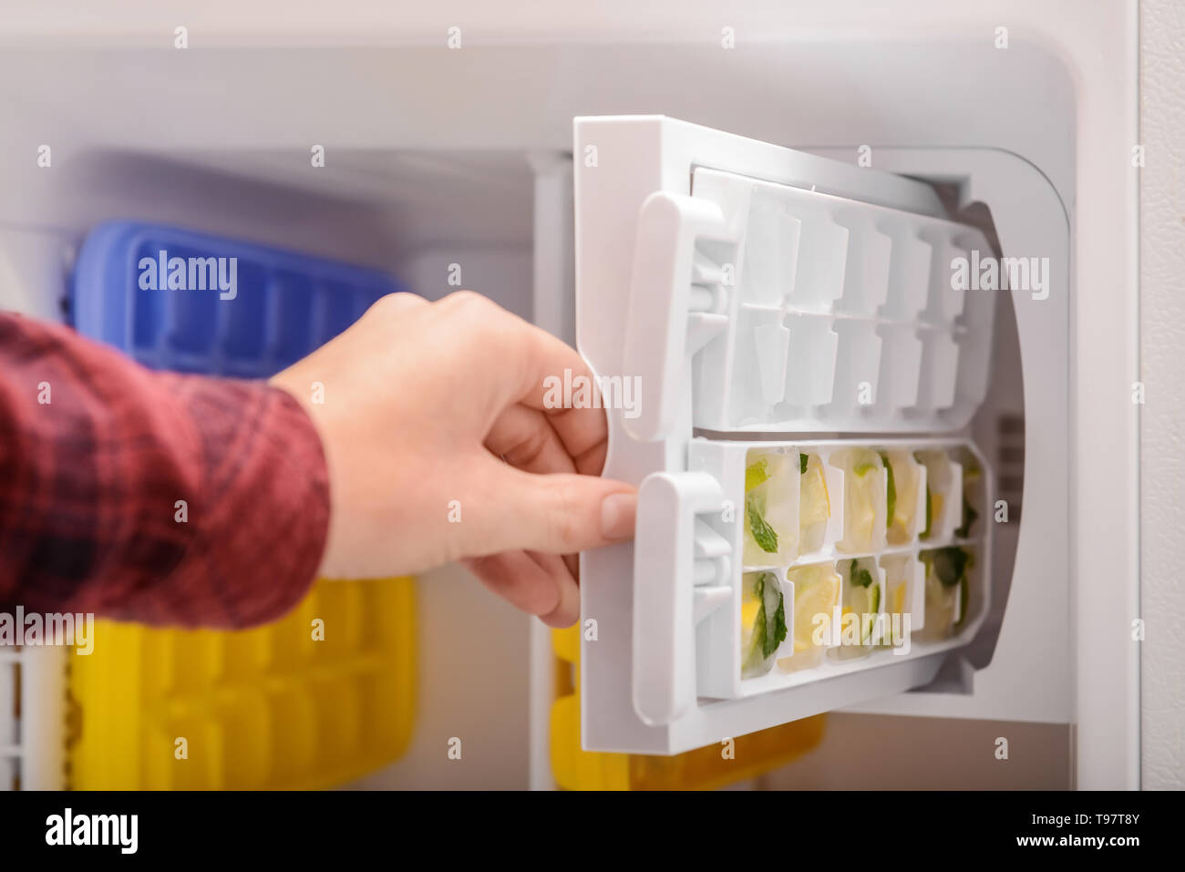 Frau, Fach mit Zitrusfrüchten in Eiswürfel in Kühlschrank eingefroren  Stockfotografie - Alamy