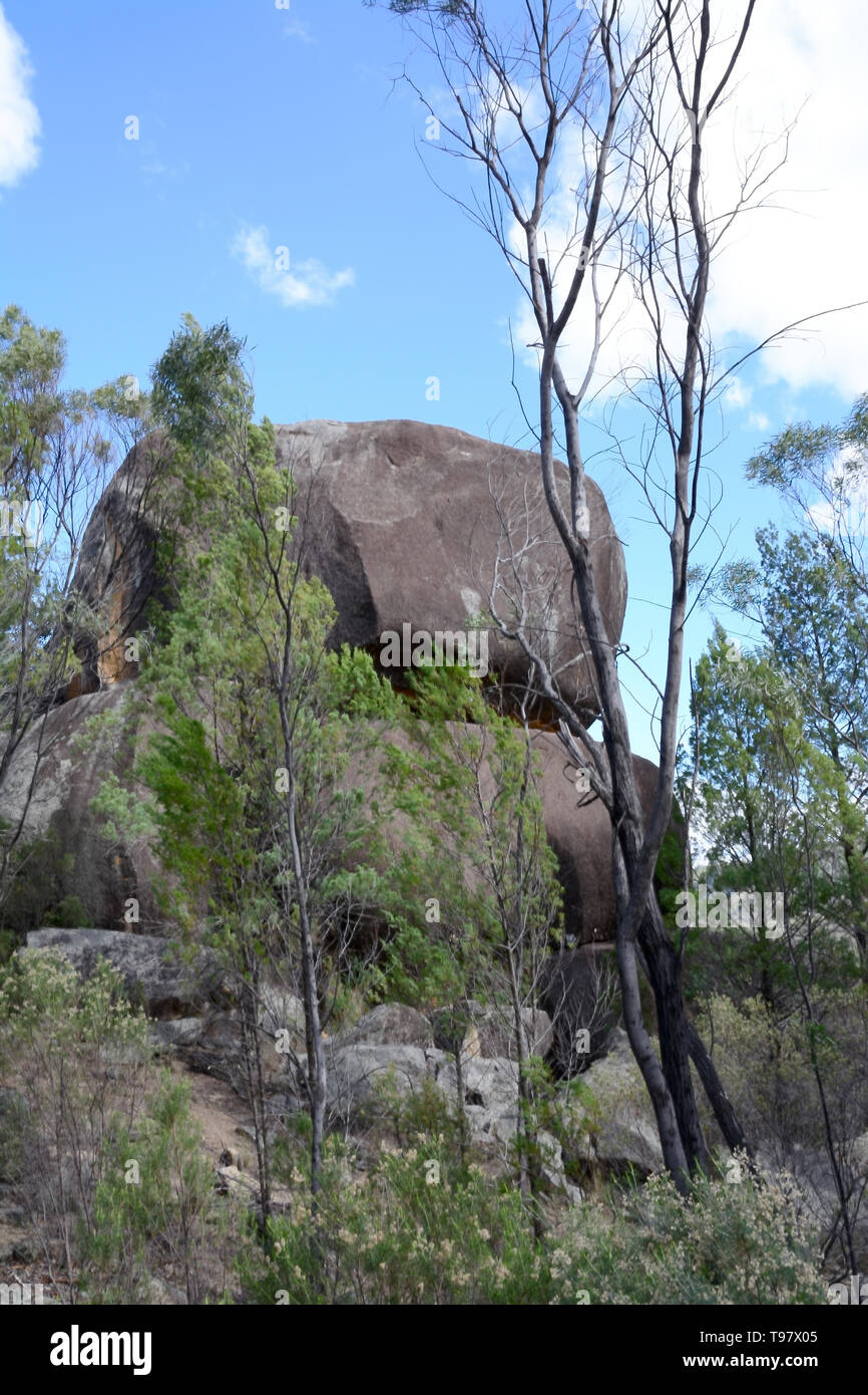 Felsbrocken in den australischen Busch. Stockfoto