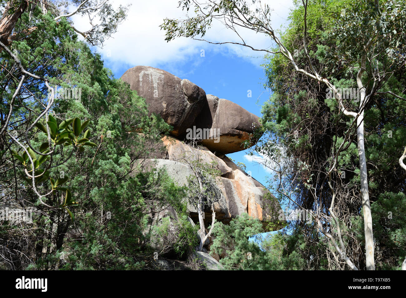 Zwei Felsbrocken am Rand einer Klippe in einem Eukalyptus Wald nördlich von Tamworth Australien. Stockfoto