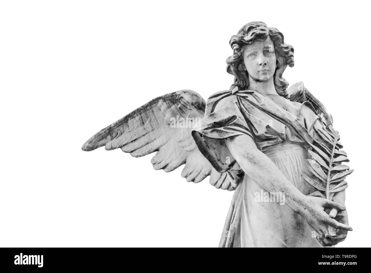 Statue eines Engels mit Olive Branch auf weißem Hintergrund Stockfoto