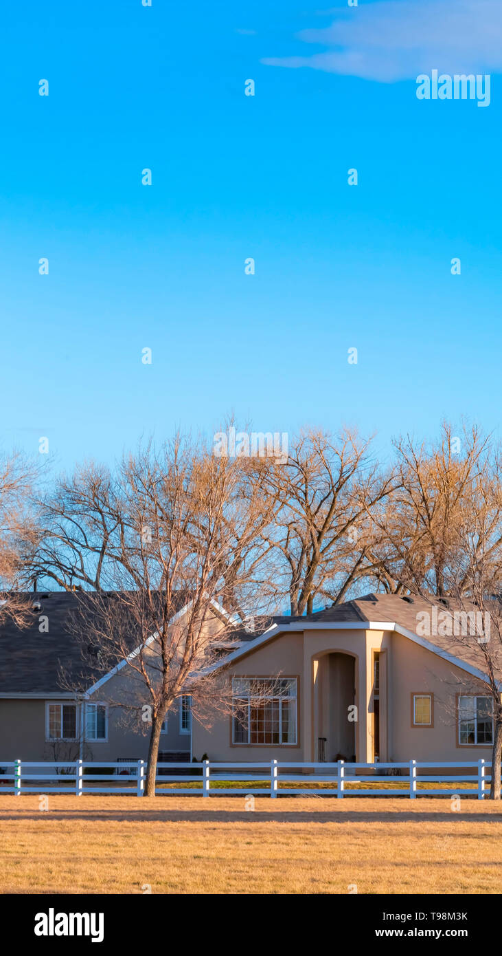 Vertikale charmanten Häusern und hohen blattlosen Bäume unter blauen Himmel an einem sonnigen Tag Stockfoto