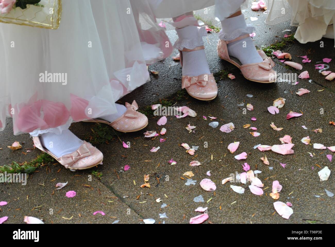 Rosa Ballett Hausschuhe und Kleider der Brautjungfern an einem englischen Hochzeit, mit Konfetti Stockfoto