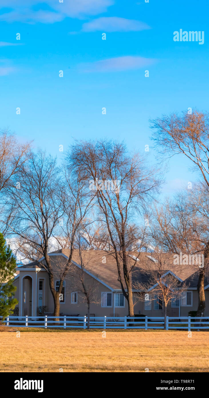 Klare Vertikale charmanten Häusern und hohen blattlosen Bäume unter blauen Himmel an einem sonnigen Tag Stockfoto