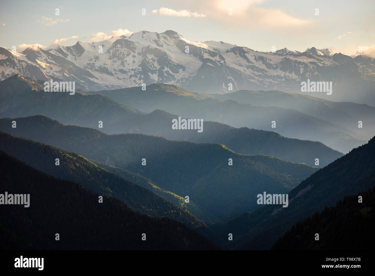 Die bewaldeten Bergrücken des Großen Kaukasus im schrägen Licht, Obere Swanetia, Georgien Stockfoto