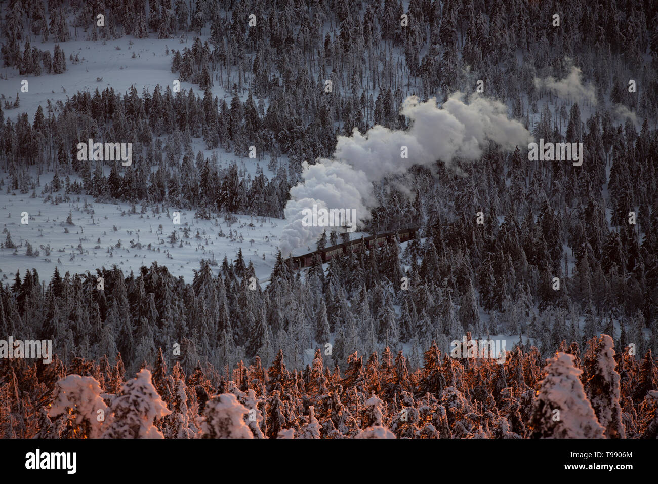 Brockenbahn im Winter mit Schnee, Harz, Deutschland Stockfoto