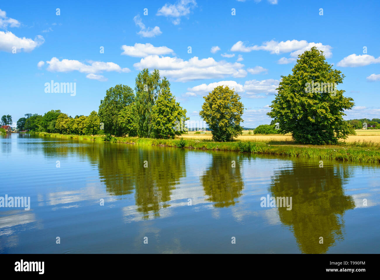 Bäume durch einen Kanal mit Wasser Reflexionen in einem Sommer Landschaft Stockfoto