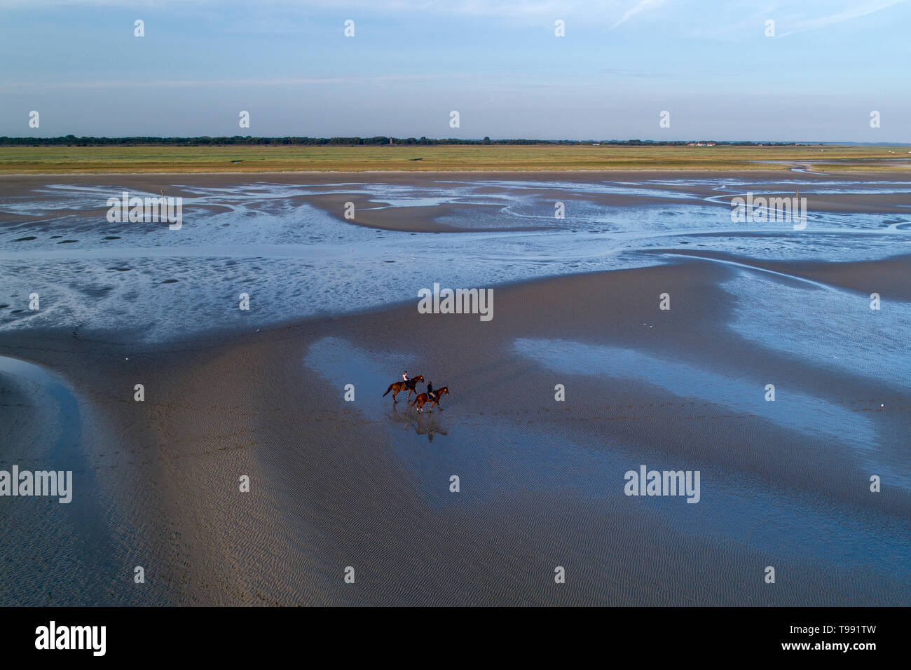 Luftaufnahmen von Reitern im Wattenmeer bei Ebbe, Sankt Peter-Ording, Schleswig-Holstein, Deutschland Stockfoto