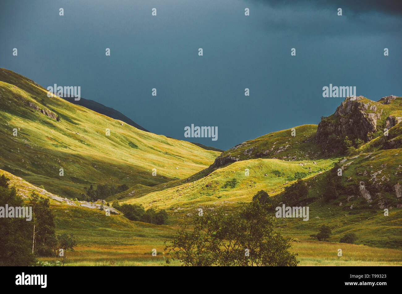 Weg zu Steall Falls, Glen Nevis, Highlands, Schottland Stockfoto
