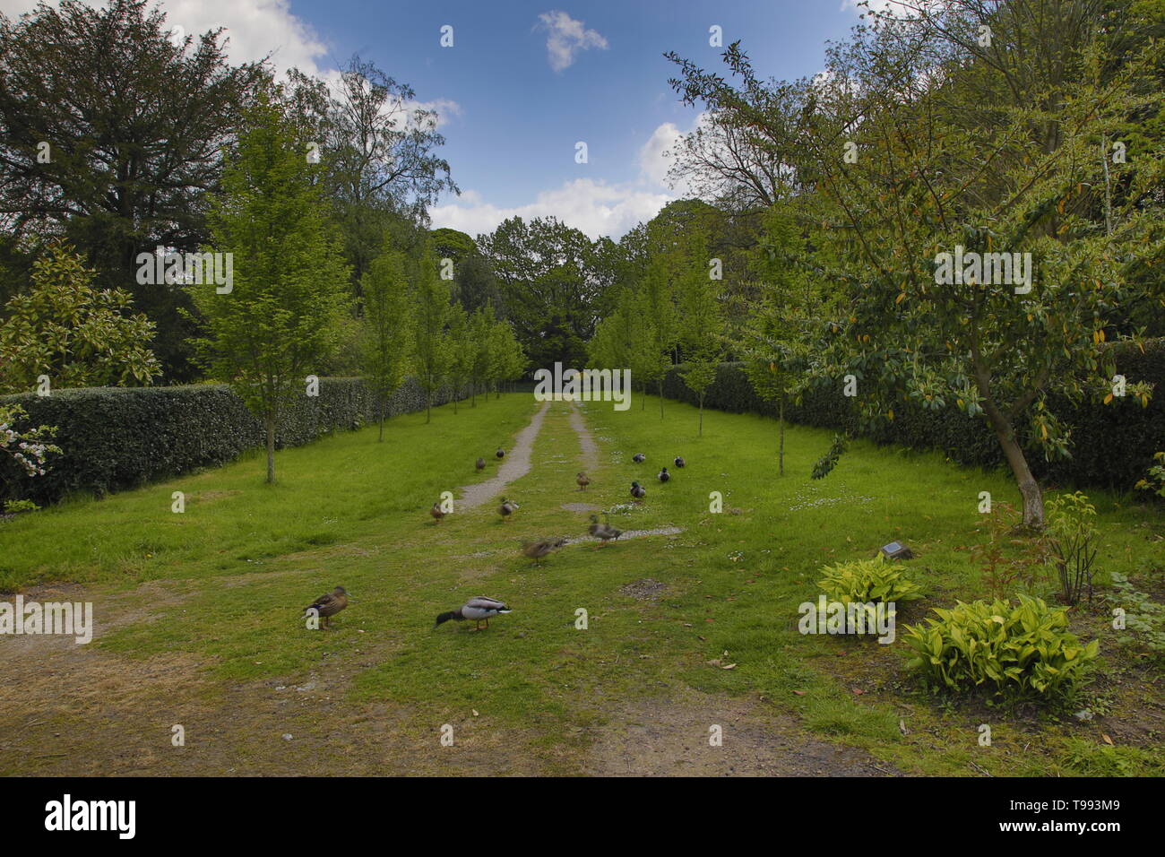 Wortley Hall Mansion und Gärten in Yorkshire, Großbritannien Stockfoto