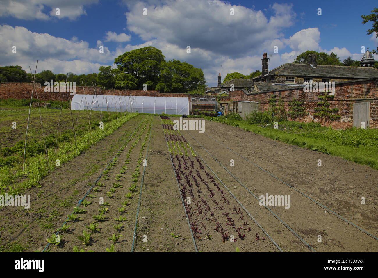 Wortley Hall Mansion und Gärten in Yorkshire, Großbritannien Stockfoto