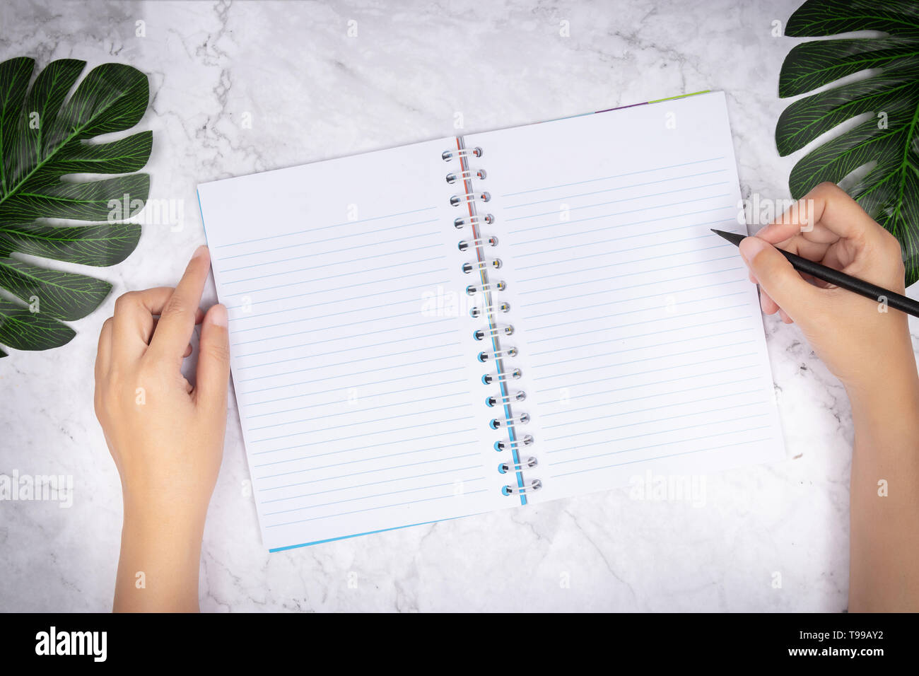 Flach der Frau Hand schreiben in eine leere weiße Seite notebook auf weißem Marmor Schreibtisch, Ansicht von oben. Green Palm Leaf auf dem Schreibtisch für die Dekoration Stockfoto
