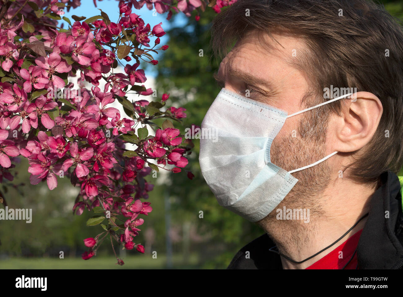 Mann, der eine medizinische Maske und blühenden Baum. Saisonale allergische Reaktion auf Pollen. Schwache Immunität, schlechte Ökologie Stockfoto
