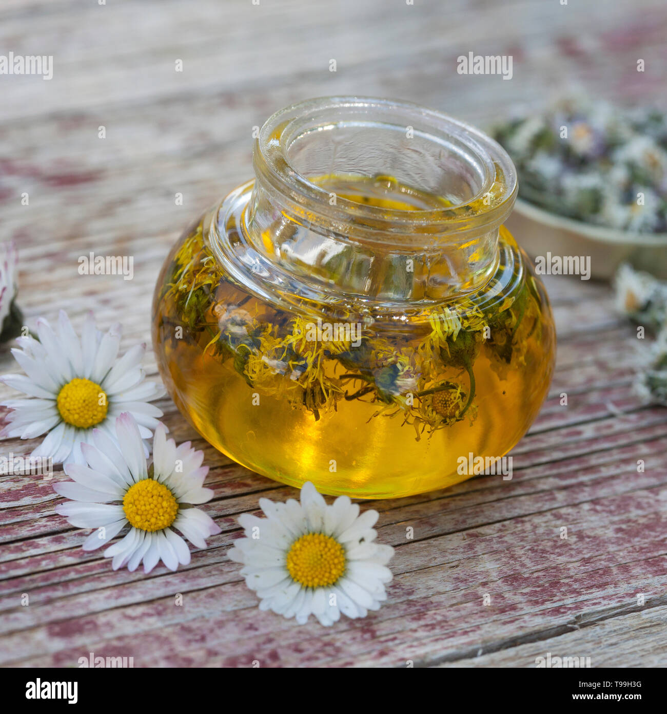 Gänseblümchen-Öl, Gänseblümchenöl, Gänseblümchen werdener In Öl ausgezogen, Auszug aus Gänseblümchen-Blüten, Ölauszug, Heilöl, Ausdauerndes Gänseblümche Stockfoto