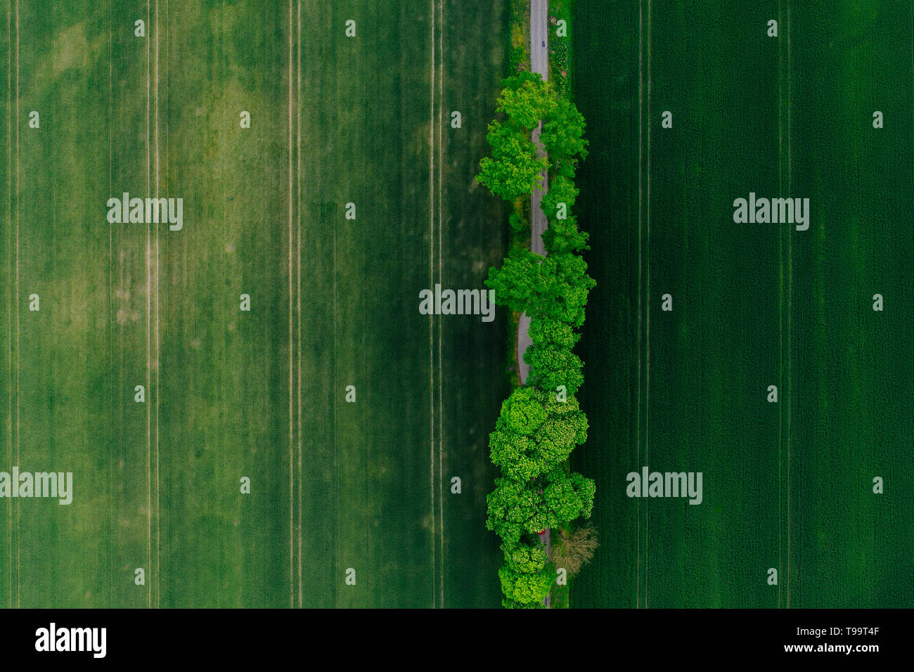 Luftaufnahmen der Felder in Mitteleuropa. Stockfoto