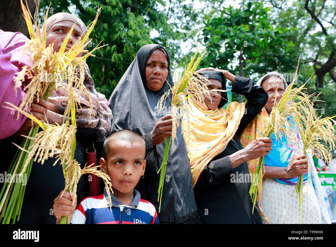 Dhaka, Bangladesch - Mai 16, 2019: Bangladeschischen Bauern und Sozialaktivist halten paddy Korn, wie sie in einem Protest anspruchsvolle Einkäufe gemacht werden dir sammeln Stockfoto