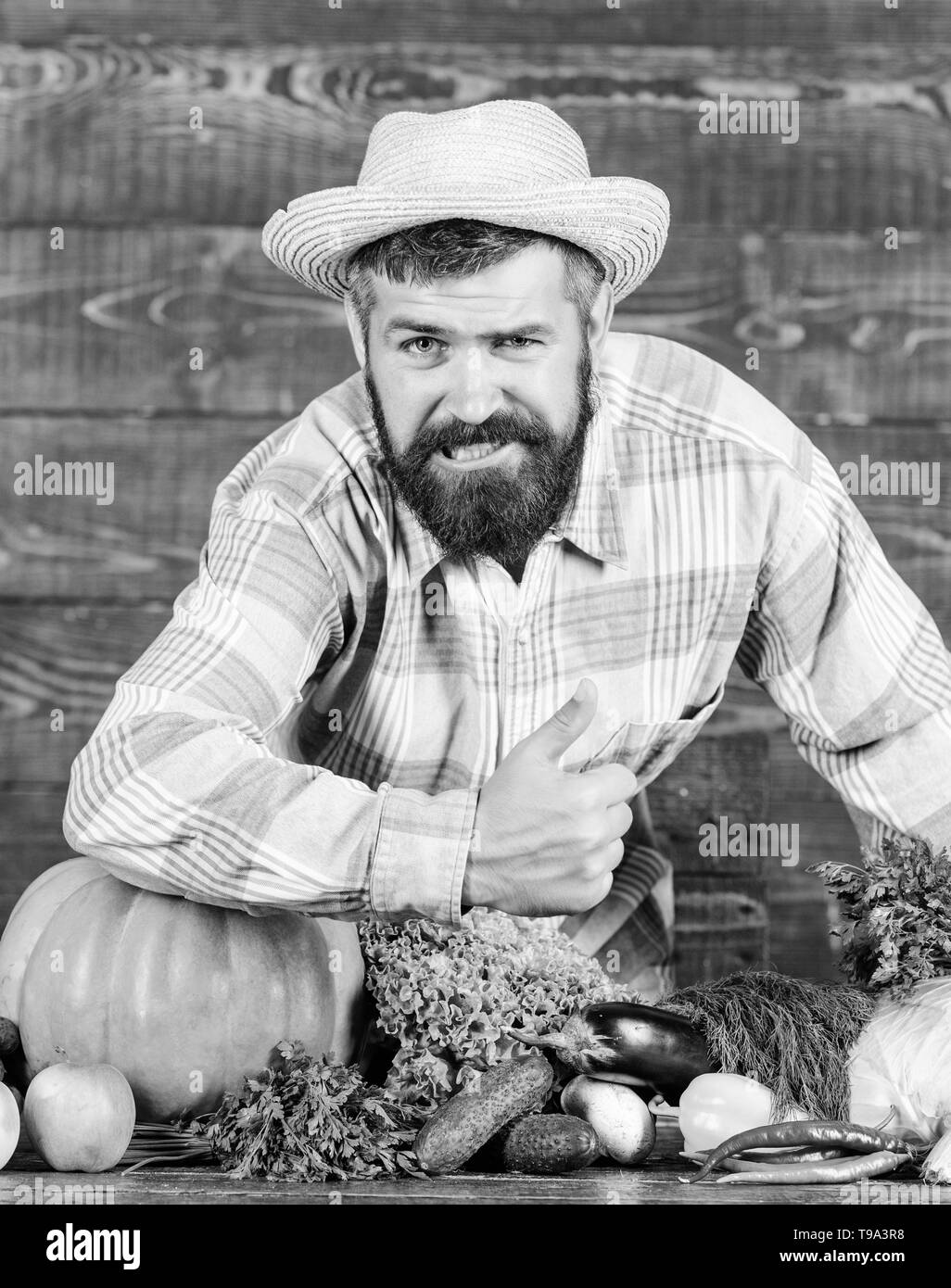 Herbst auf dem Bauernhof. Mann Chef mit reichen Herbst Ernte. organische und natürliche Lebensmittel. happy halloween. bärtigen reife Landwirt. saisonale Vitamin essen. Nützliche Obst und Gemüse. Harvest Festival. Stockfoto