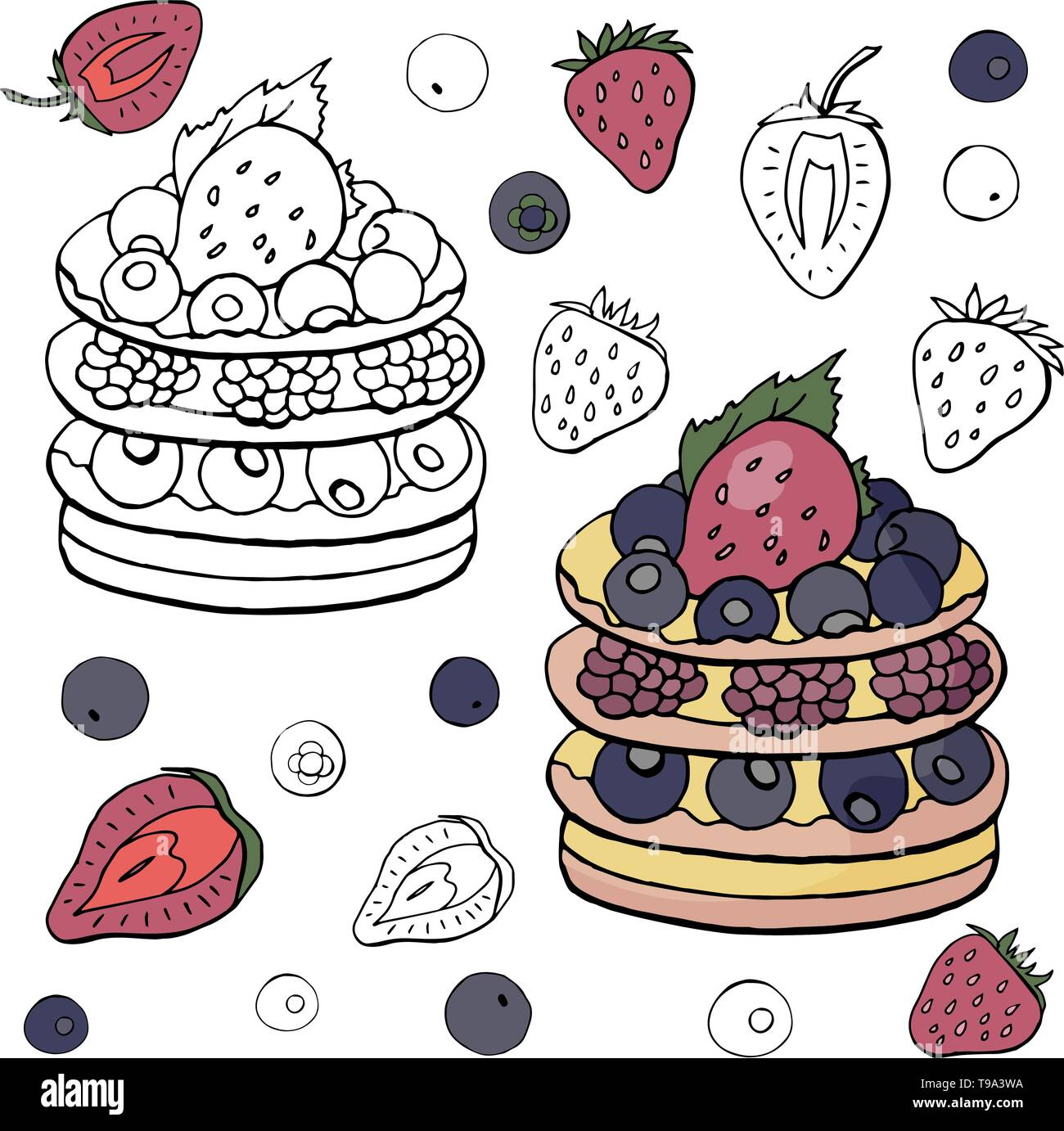Schwarze Und Weisse Und Farbige Torte Mit Himbeeren Auf Weissem Hintergrund Himbeeren Kuchen Stock Vektorgrafik Alamy