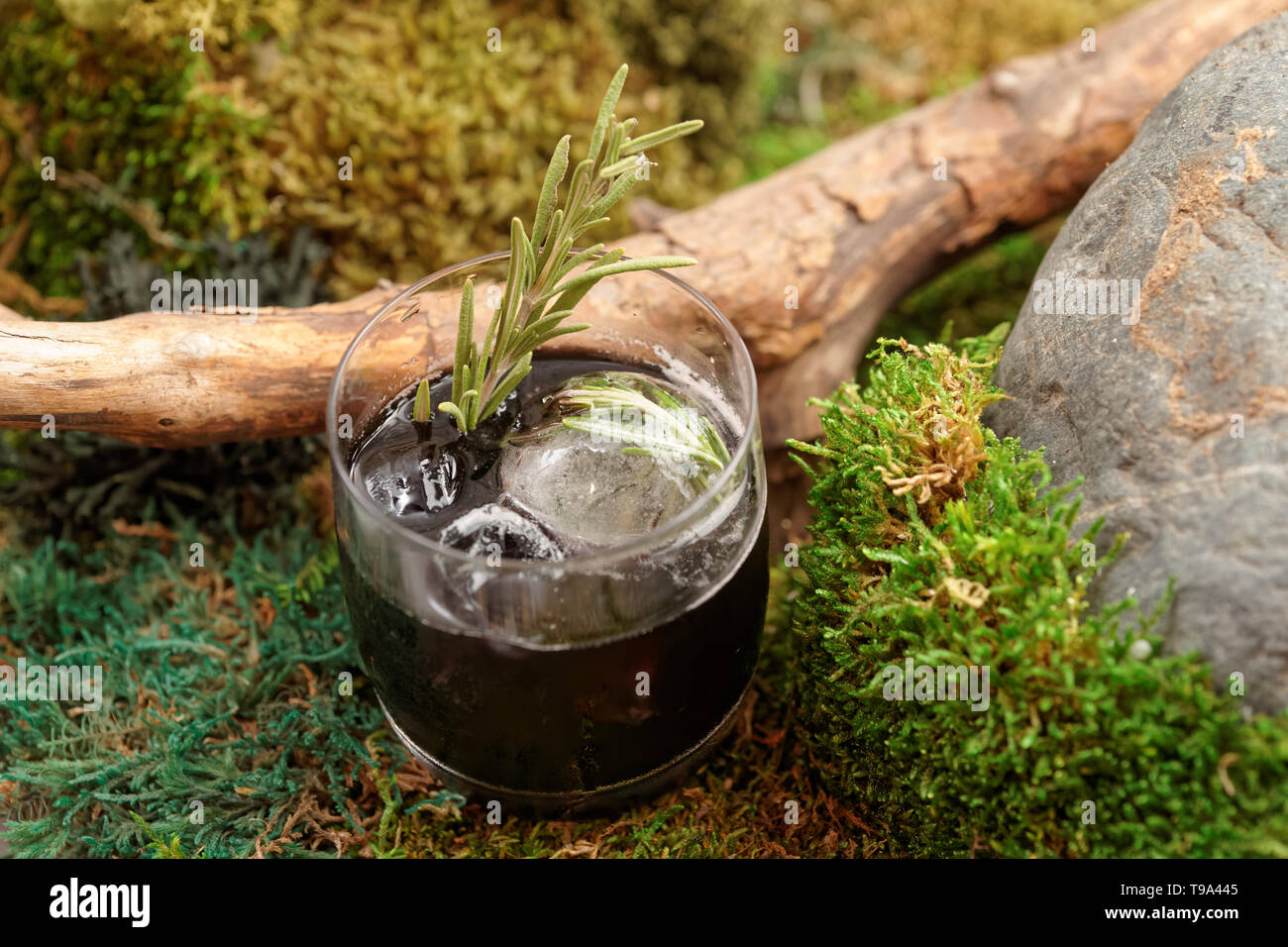 Schwarz Cocktail mit Rosmarin auf Moss, natürliches Getränk Konzept, Nordische Küche Stockfoto