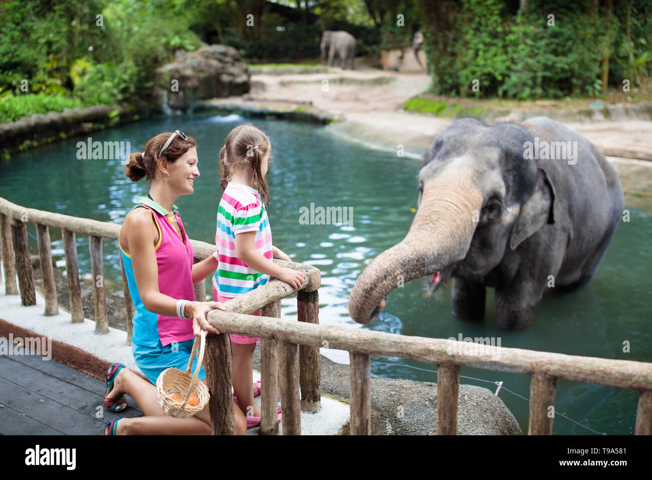 Familie füttern Elefanten im Zoo. Mutter und Kind feed Asiatische Elefanten in tropischen Safari Park im Sommer Urlaub in Singapur. Kinder beobachten der Tiere. Stockfoto