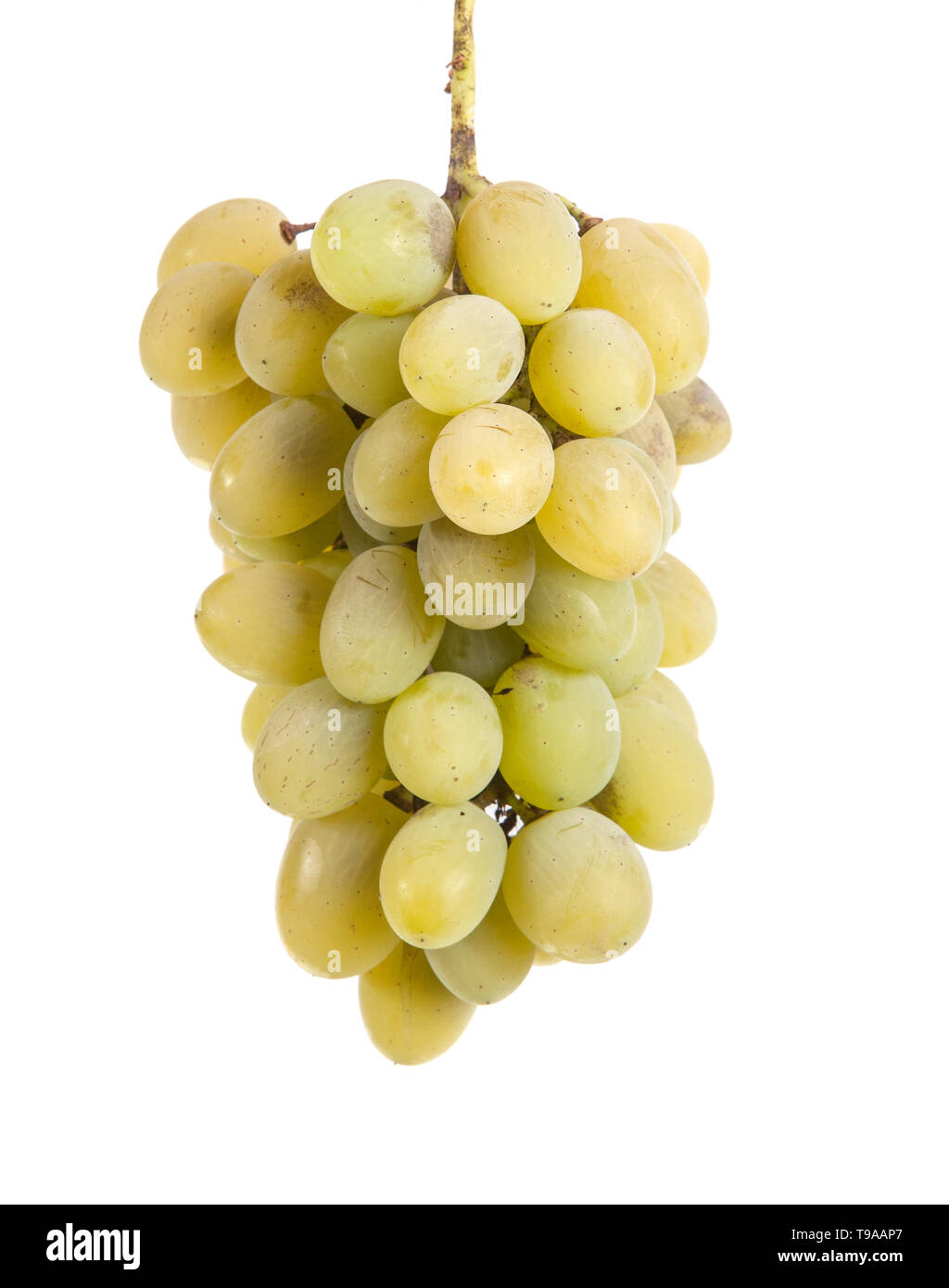 Bündel von reife, gelbe Trauben. auf weißem Hintergrund Stockfoto