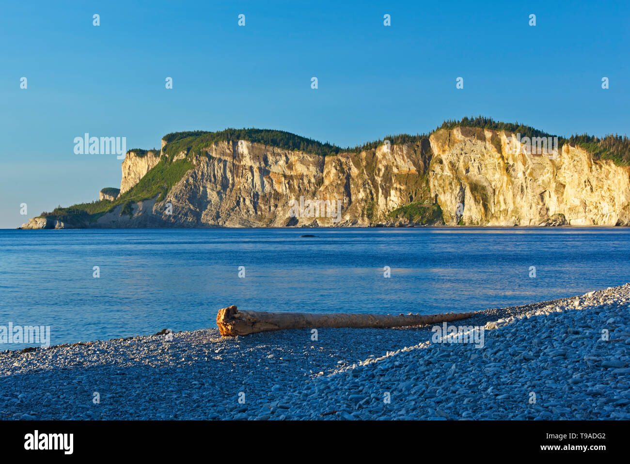 Kalksteinfelsen entlang Cap Gaspé aus cap-bon-Ami Forillon Nationalpark Quebec Kanada Stockfoto