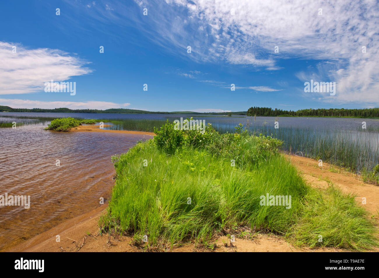 Shoreline am Lac des Sables Belleterre Quebec Kanada Stockfoto