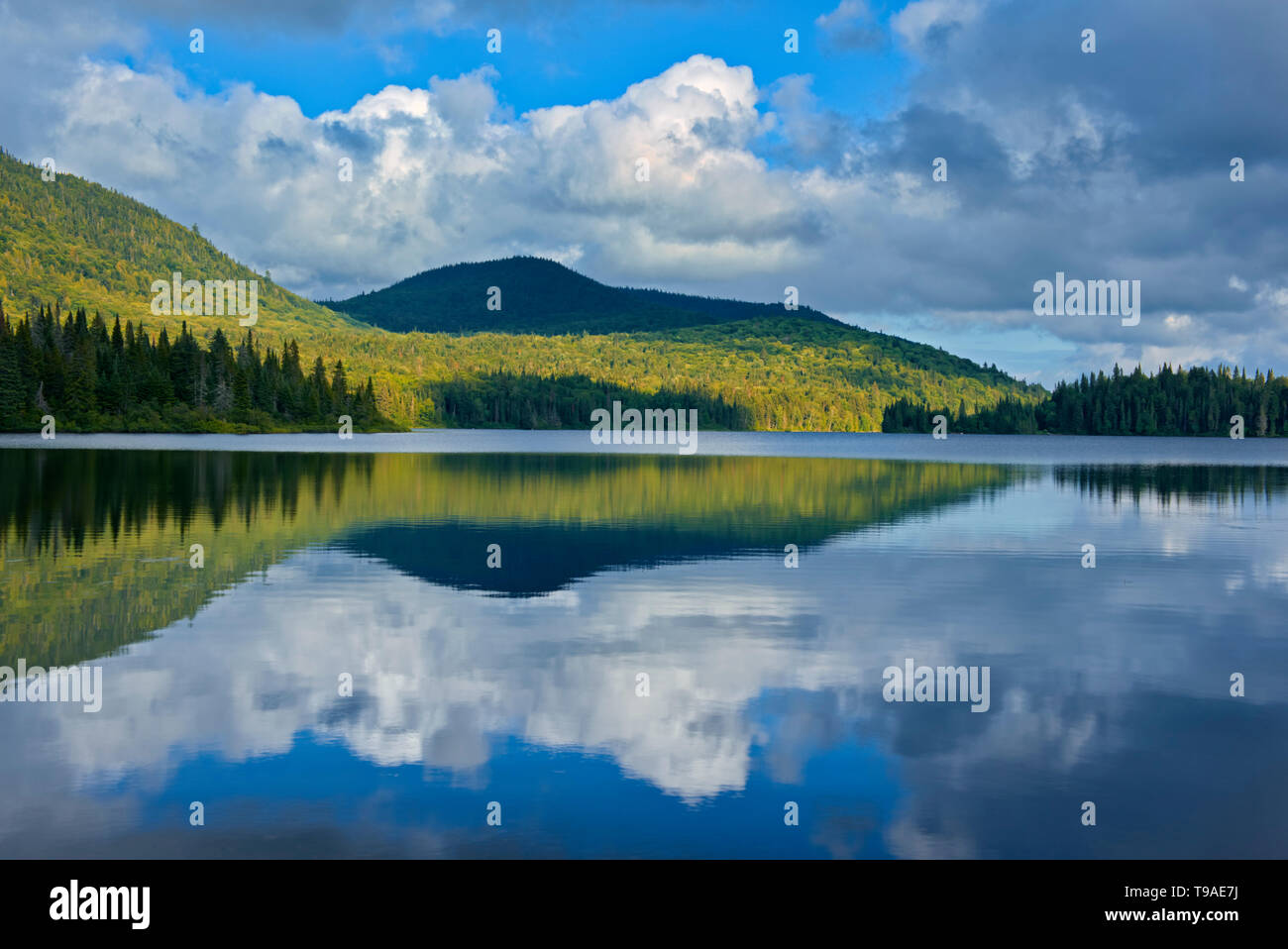 Cloud Reflexion in Lac Modène La Mauricie Nationalpark Quebec Kanada Stockfoto