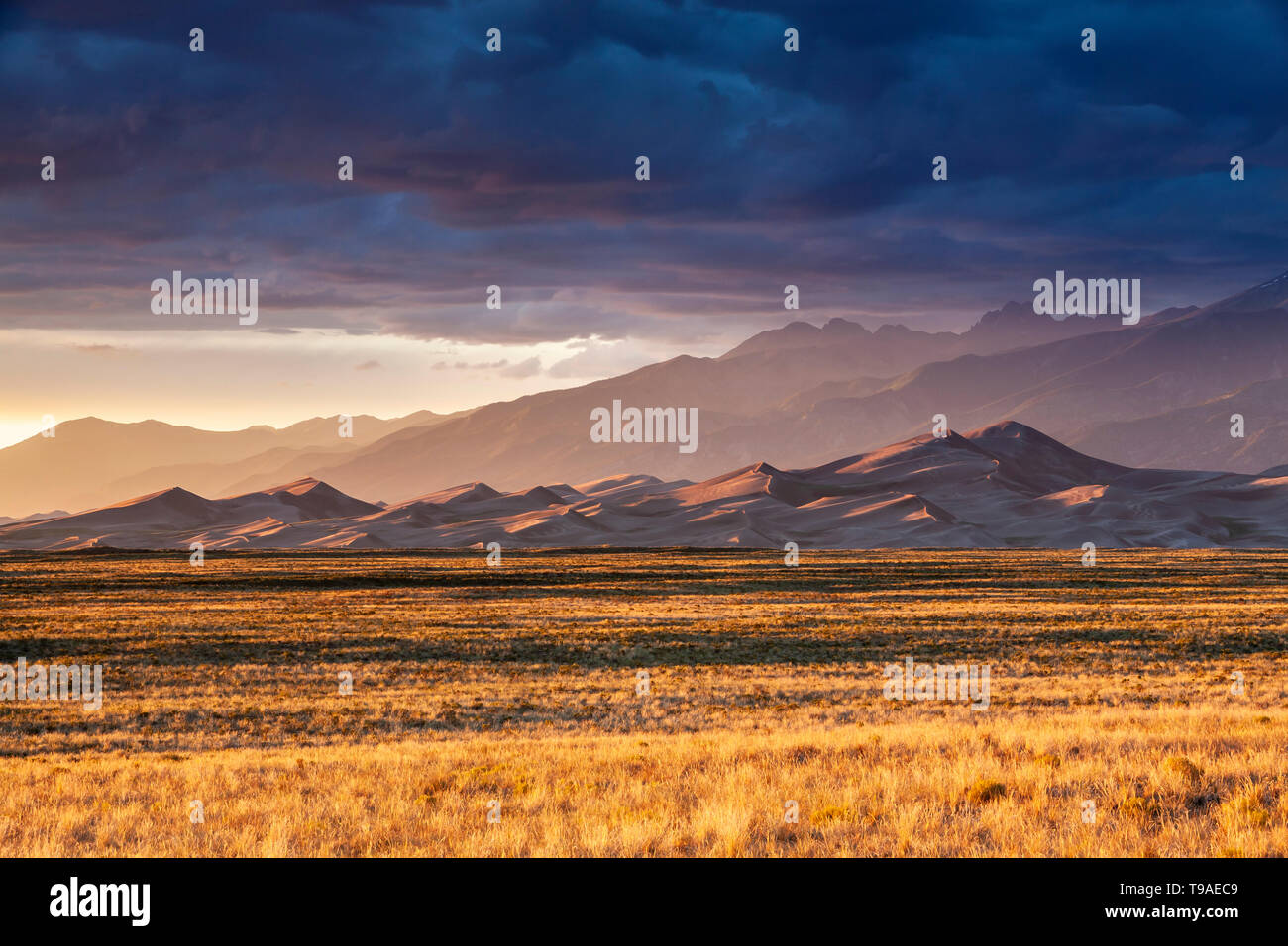 Grass, Dünen und Sangre De Cristo Mountains bei Sonnenuntergang, Great Sand Dunes National Park and Preserve, Colorado USA Stockfoto