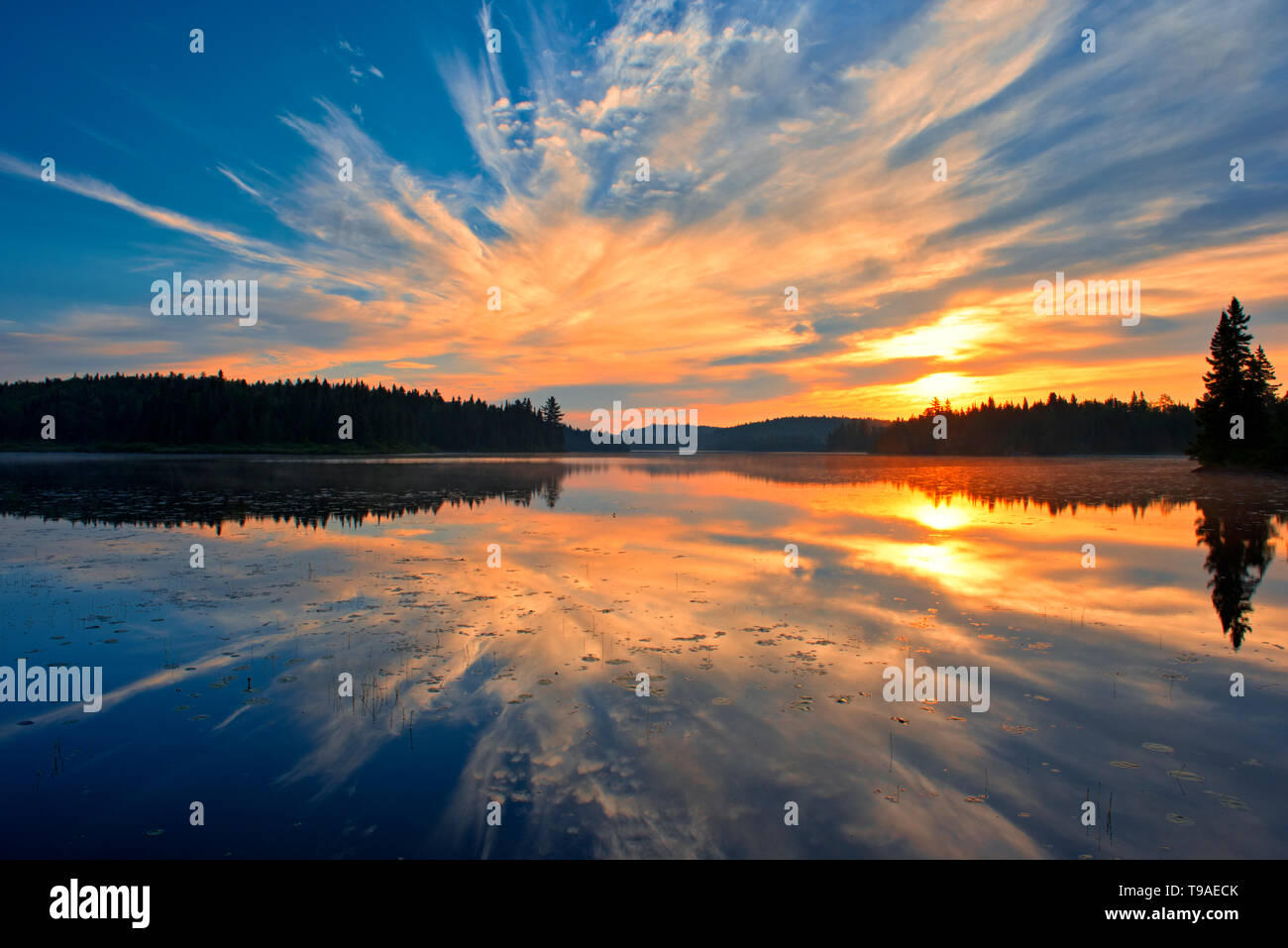 Reflexion von Wolken in Lac du Fou bei Sonnenaufgang La Mauricie Nationalpark Quebec Kanada Stockfoto