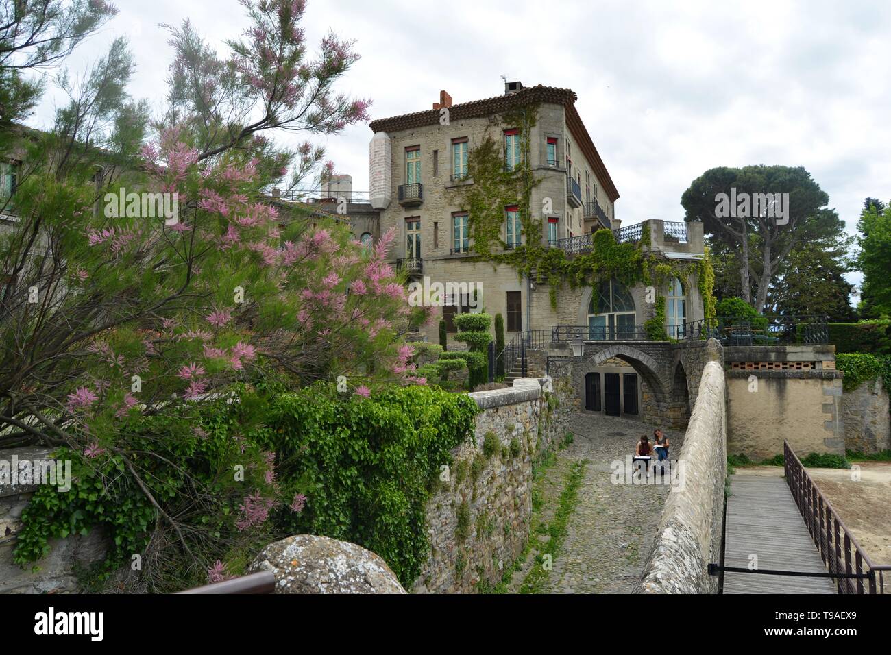 Die beeindruckende gotische Burg von Carcassonne, die von wunderschöner Natur umgeben. Stürmischen Himmel im Hintergrund. Im Süden von Frankreich. Stockfoto