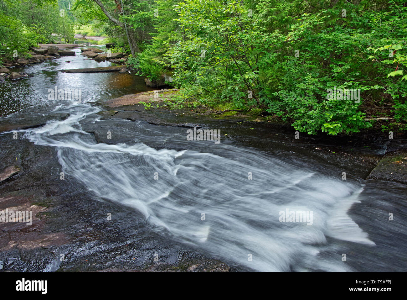 Ruisseau Bouchard Creek La Mauricie Nationalpark Quebec Kanada Stockfoto