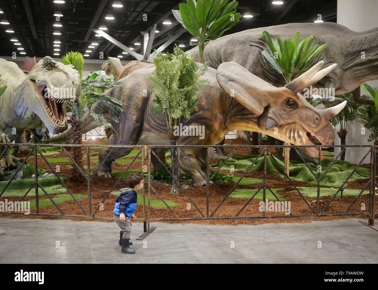 Vancouver, Kanada. 17 Mai, 2019. Ein Kind betrachtet einige Dinosaurier Exponate während der Jurazeit Quest Ausstellung in Vancouver Convention Center in Vancouver, Kanada, 17. Mai 2019. Jurassic Quest ist das größte und bedeutendste realistische Dinosaurier Veranstaltung in Nordamerika und es kommt nach Kanada zum ersten Mal, mit über 80 Saurier in Lebensgröße. Credit: Liang Sen/Xinhua/Alamy leben Nachrichten Stockfoto