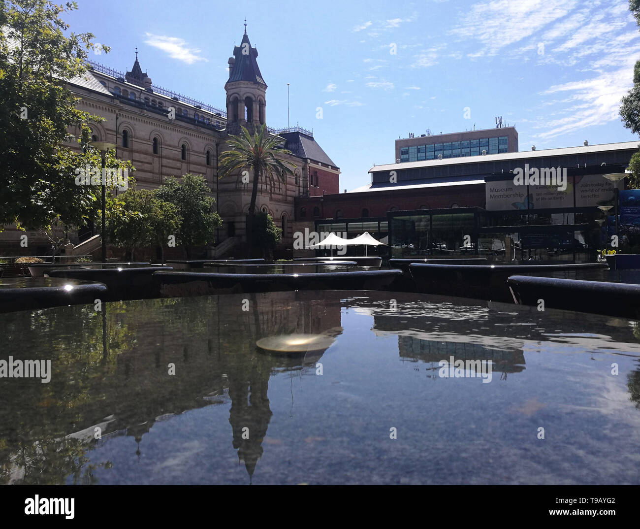 Peking, China. 28 Feb, 2019. Foto auf 28.02.2019 zeigt eine Ansicht der South Australian Museum in Adelaide, Australien. 18. Mai markiert den Internationalen Museumstag. Credit: Bai Xu/Xinhua/Alamy leben Nachrichten Stockfoto