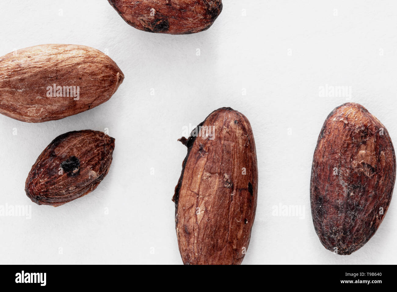 Rohe Kakaobohnen auf weißem Hintergrund Stockfoto