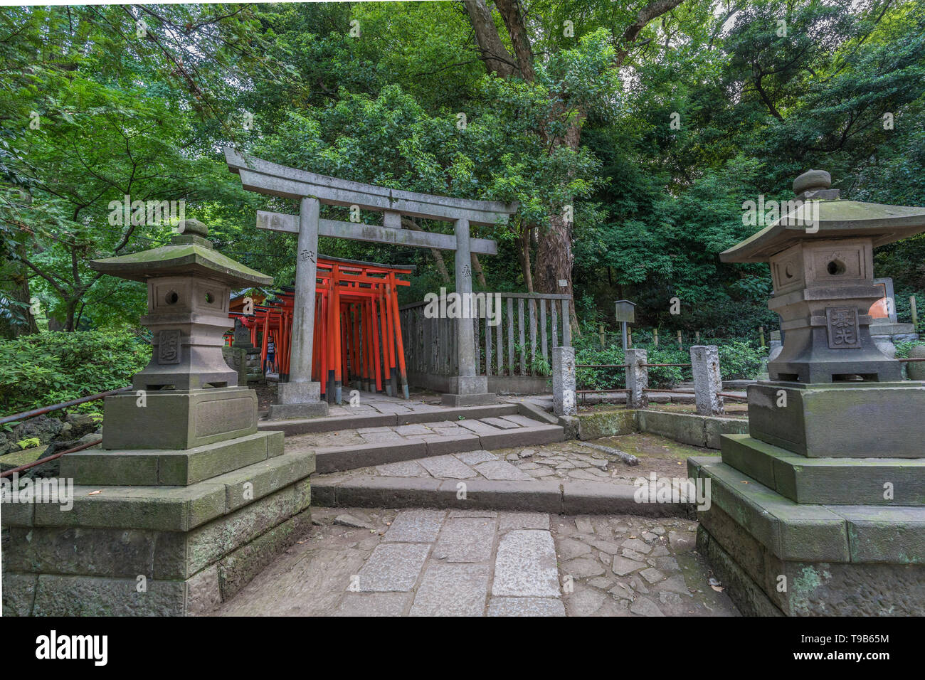 Tokio, Bunkyo Station - August 6, 2018: Ishidoro Laternen, Stein myojin Tor und rote Torii Tore am Eingang des Nezu-jinja Shinto Schrein. bezeichnet als Stockfoto