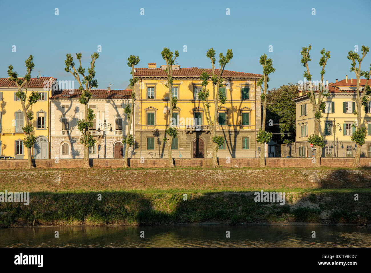 Baum Schatten auf Häuser in Pisa in der späten Nachmittagssonne. Stockfoto