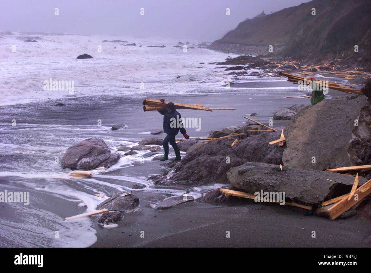 04.02.2002 - Holz aus dem gestrandeten Frachter Kodima wird durch Mitglieder der Öffentlichkeit Portwrinkle in Cornwall abgeholt heute Morgen. Stockfoto