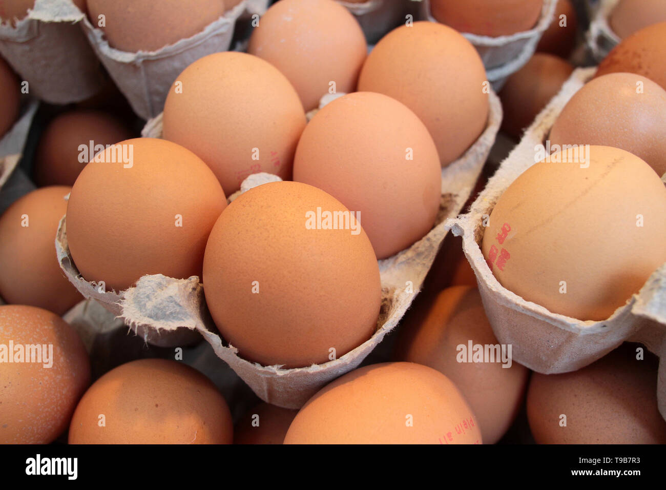 Barquettes d'oeufs frais. Stockfoto