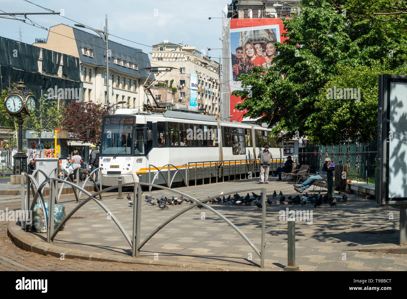 Eine dreiteilige Straßenbahn, Route 21, in Piaţa Sf Georghe (St George Square) in der Altstadt im Zentrum von Bukarest, Rumänien, wo Tauben trinken sind Stockfoto