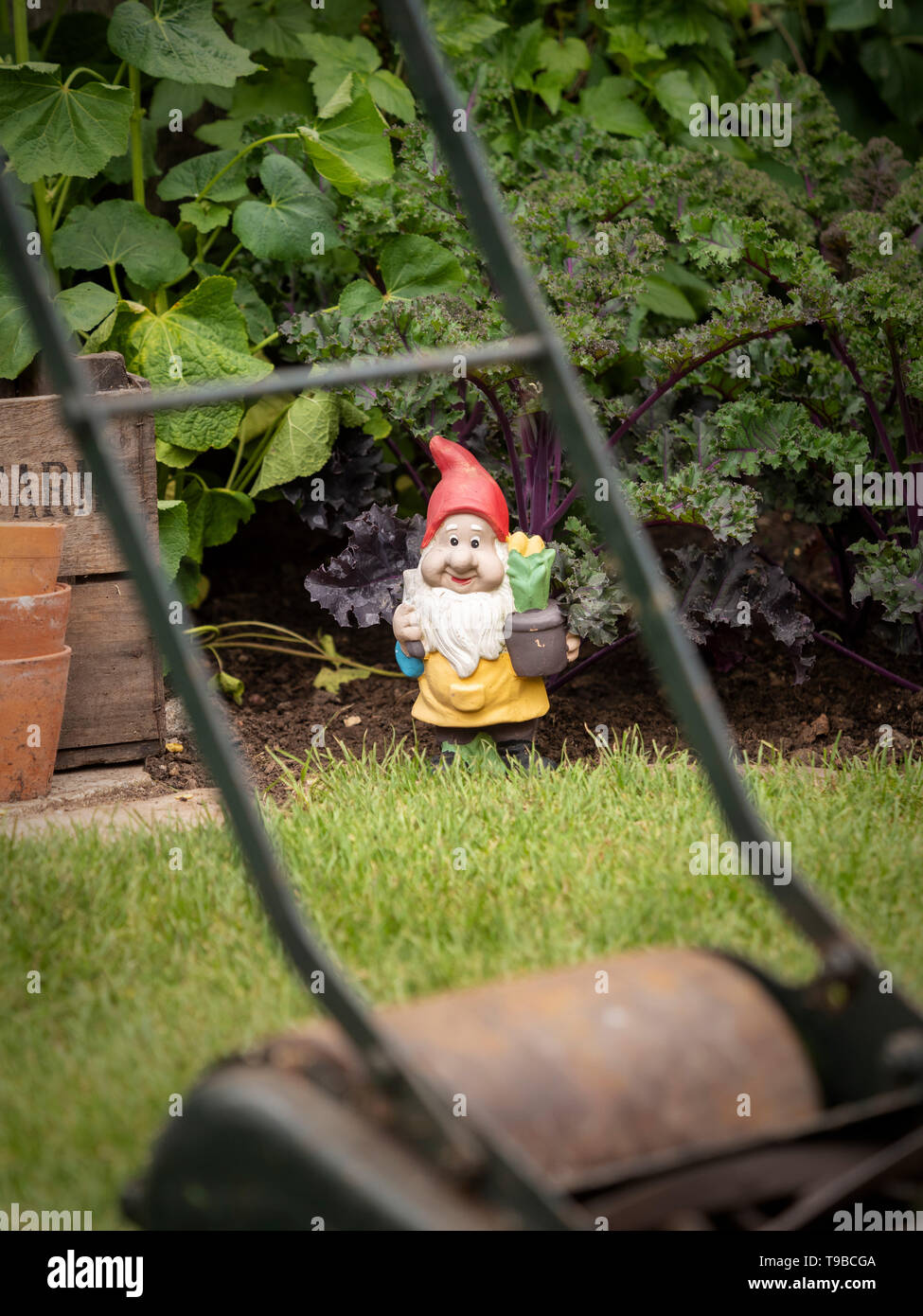 Gartenzwerg gesehen mit Hilfe der Griffe von Push entlang rasen Mäher Stockfoto