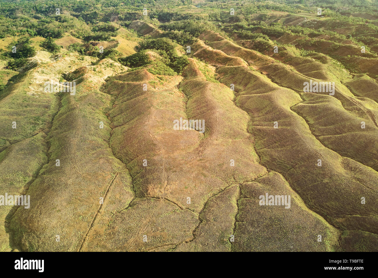 Grüne Hügel Landschaft in Mittelamerika Landschaft Stockfoto