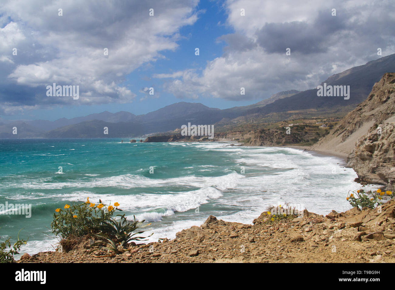 Küste von Süden Kretas, Gelb hornpoppy im Vordergrund. Stockfoto