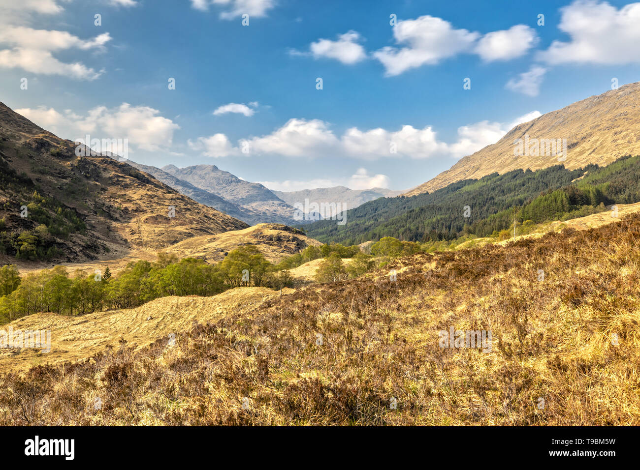 Blick über das Hochland in Schottland Stockfoto